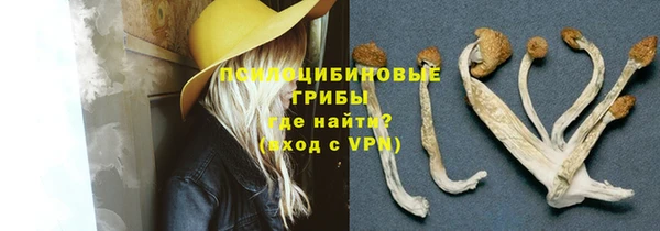 марки lsd Горняк