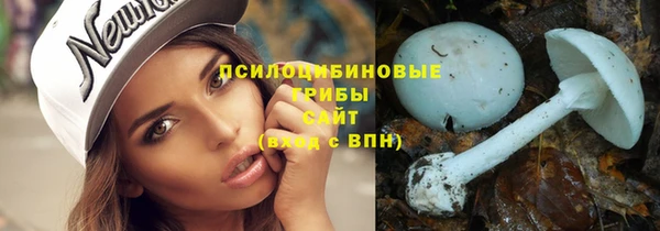 винт Гусев