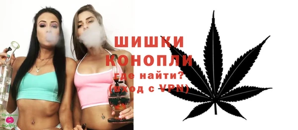 винт Гусев