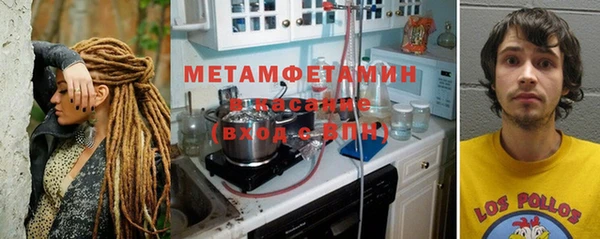 ПСИЛОЦИБИНОВЫЕ ГРИБЫ Гусь-Хрустальный