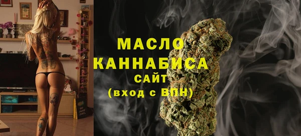 ПСИЛОЦИБИНОВЫЕ ГРИБЫ Гусь-Хрустальный